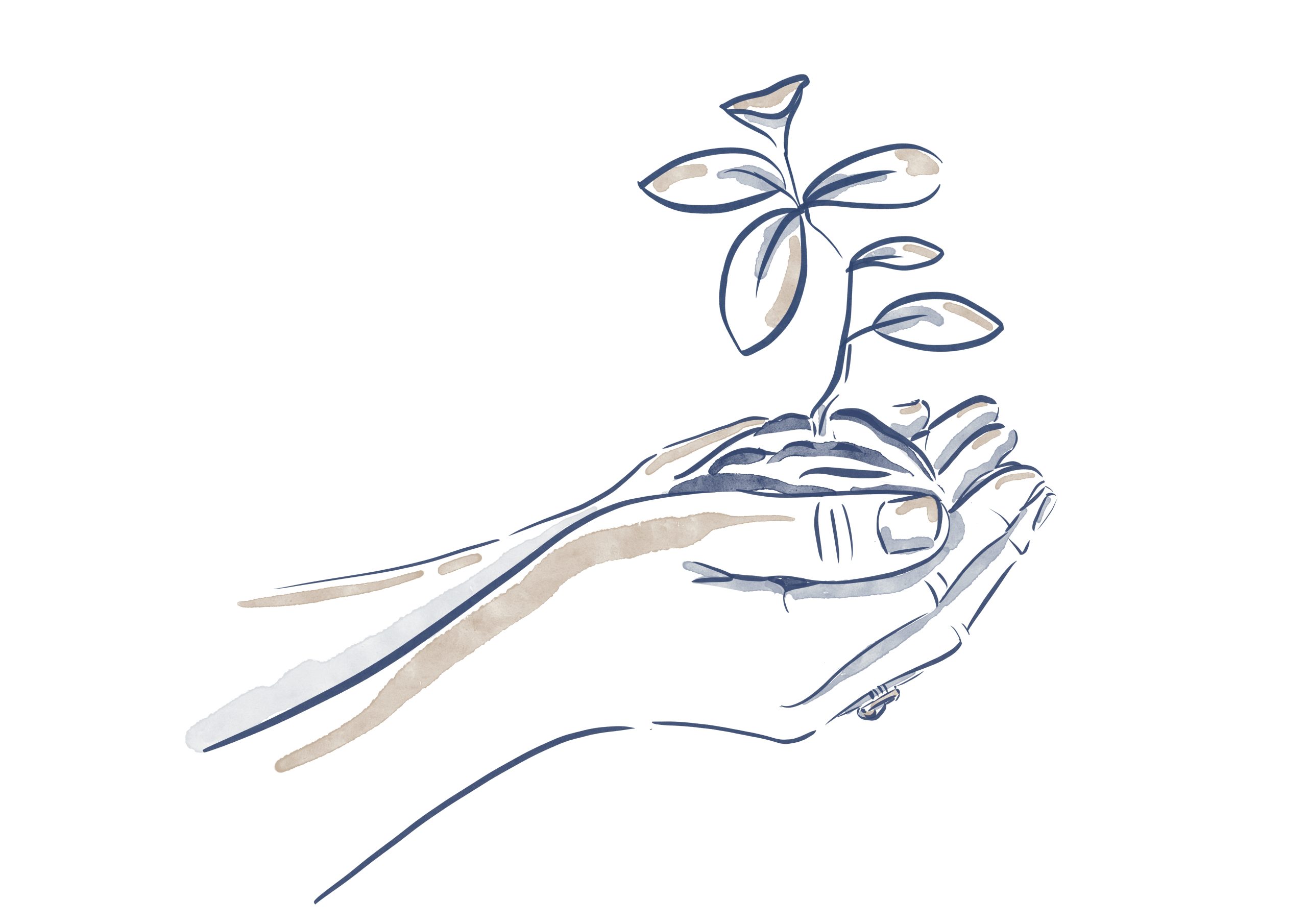 A hand drawn illustration from Katie Walden of Sophie Seddon of Sophie Seddon PR's hand holding the shoots of a plant.